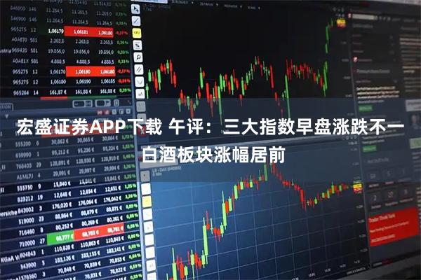 宏盛证券APP下载 午评：三大指数早盘涨跌不一 白酒板块涨幅居前