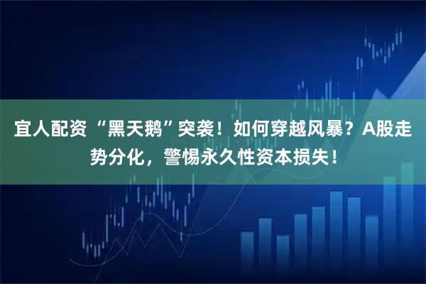 宜人配资 “黑天鹅”突袭！如何穿越风暴？A股走势分化，警惕永久性资本损失！